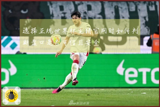 选择正规世界杯竞猜官网时如何判断盘口是否可信且安全