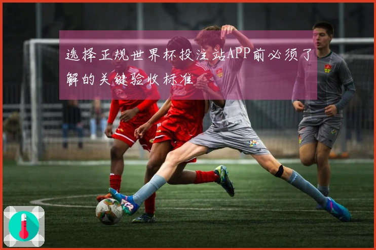 选择正规世界杯投注站APP前必须了解的关键验收标准