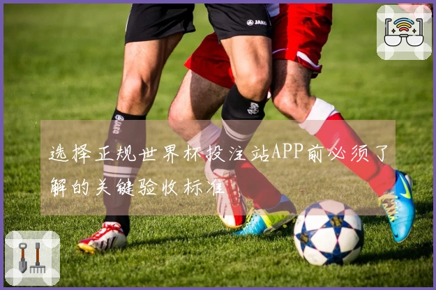 选择正规世界杯投注站APP前必须了解的关键验收标准